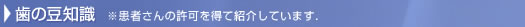 歯の豆知識 ※患者さんの許可を得て紹介しています