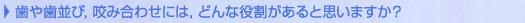 歯や歯並び,咬み合わせには,どんな役割があると思いますか?